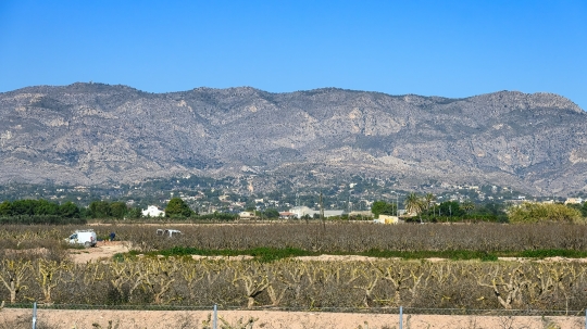 Spanish Landscape