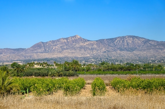 Spanish Landscape