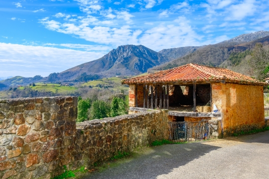 Stone Fence and Landscape