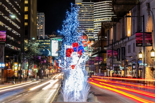 Symmetric View of Christmas Lights