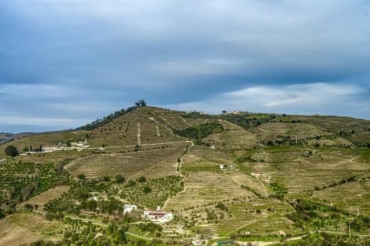 The ridge of a mountain with terraced winery fields and some bui