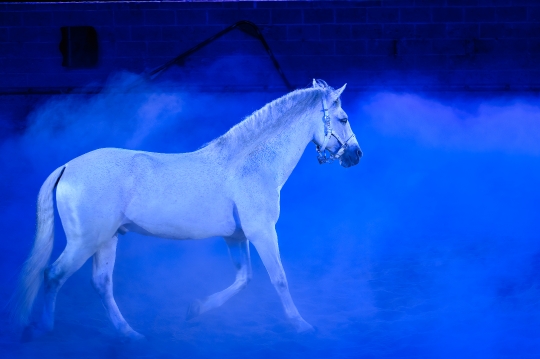 White Horse Blue Smoke