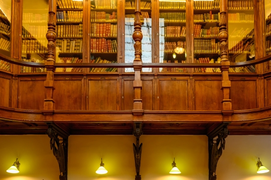 Wood Bookshelf in Library