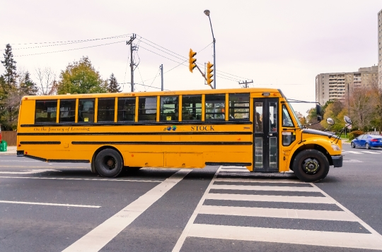 Yellow School Bus or Truck