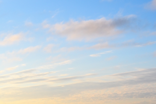 Yellow Sunlight Contrast Soft Blue Sky